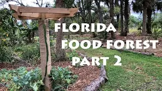 Spring 2020 Florida Food Forest Tour - Part 2