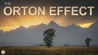 Make Your Photos DREAMY!  How to Create an Orton Effect in Adobe Photoshop