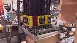 Whirley Drink Works Custom PP20 Case Packer