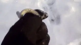 Где взять нихром новый способ