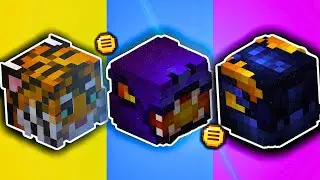 Investing millions/billions in pets will transform your profile... (Hypixel Skyblock)