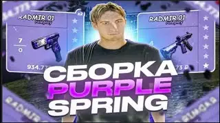 СЛИВ ФИОЛЕТОВОЙ СБОРКИ PURPLE SPRING GTA  РАДМИР РП   RADMIR RP