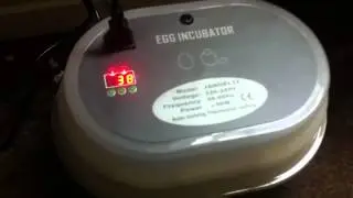 JN12 Incubator