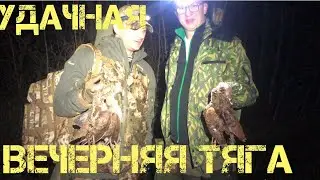 Охота на ВАЛЬДШНЕПА. Весенняя ОХОТА 2022.