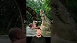Wife or Crocodile? 