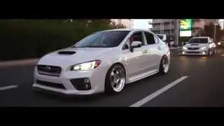 Royalty STI | Stance Nation