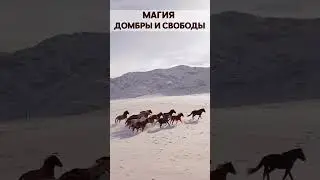 Магия домбры и свободы! The magic of dombra and freedom.