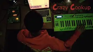 Cooking up beats with the Sp404 MKII, Koala, & Ableton
