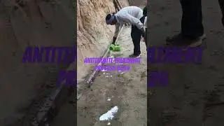 antitermite treatment process 2024