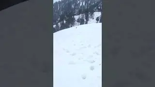 Snow fall in Kashmir
