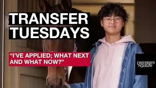 Transfer Tuesday - "I've applied - what next, and what now?"
