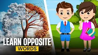 Explore Opposites | Toddler Learning Video | Kids Learning Videos