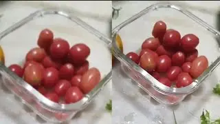 colhendo tomate caseiro no quintal