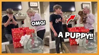 CHRISTMAS PUPPY SURPRISE COMPILATION 2025 !