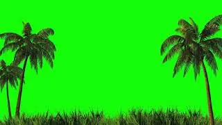 Trees and Grass On a Green Background Green Screen