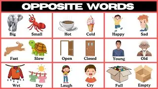 Fun & Easy Opposite Words for Kids: Learn 50+ with Simple Sentences!