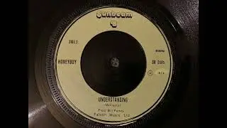 Honeyboy - Understanding