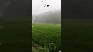 Ulan