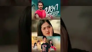 หมาแม่ลูกอ่อน - มอสเมมโมรี่ | TMG RECORD