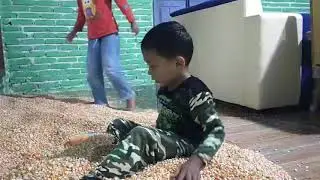 MAIN BIJI JAGUNG SERU BANGET