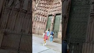 A place to remember on border of Germany 🇩🇪 🇫🇷 Strasbourg #ytshorts #indiansingermany #shorts