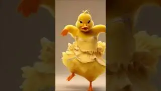 Цыпалета танцует