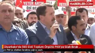 Diyarbakır'da 565 Sivil Toplum Örgütü PKK'ya  Silah Bırak  Çağrısı Yaptı