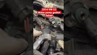 2014 VW CC water pump leaking 