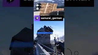 How to probably not call a storm tiger | samurai_german auf #Twitch