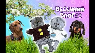 ВЛОГ: ГУЛЯЕМ С СОБАКАМИ/ БАСИКИ В ФИКС ПРАЙС/ Басики весной #басики #волшебныебудни