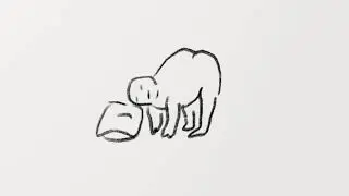 what day