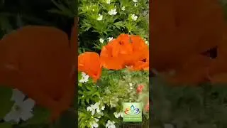 Вспомни пожалуйста - Ты источник!