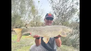 Feeder :Adda in piena...? mai mollare!  (barbi over kg.4) pesca heavy 120 gr.