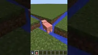Turning a Pig into a Helicopter in Minecraft #shorts