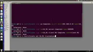 Mikrotik | 62-a. Criando uma OpenVPN Site to Site