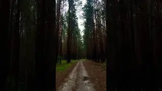 #meditationmusic #relaxingmusic #nature #окунево #путешествия #природа
