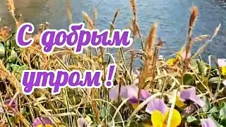 С добрым утром и хорошим настроением! С понедельником Вас поздравляю! Музыкальная открытка!