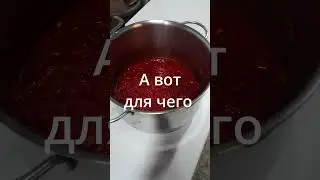 #Short Домашняя кровяная колбаска (буден нуар)