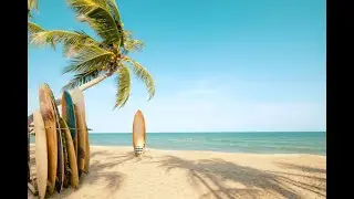 The sounds of summer, the waves of nature, the sea for relaxation and meditation