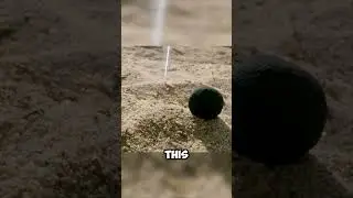 Where Do All These Thousands of Black Balls on The Ground Come From? #kenya #ecology #savetheplanet