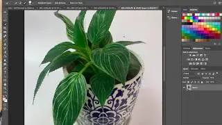 How to cut out an object - Quick Selection