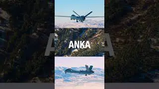 Anka 