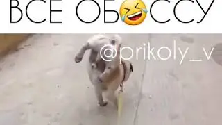 22 декабря 2018 г.
