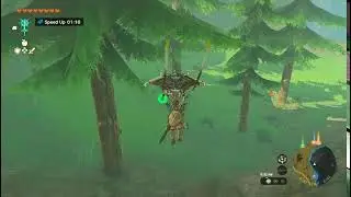 The Legend of Zelda: Tears of The Kingdom (4)