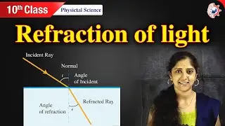 Refraction | Refraction of light | Light | refraction of light class 10 | by Scientia Tutorials