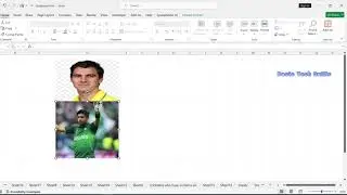 Insert pictures in excel automatically size to fit cells / insert picture in cell fit automatically