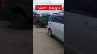 Тойота Тундра/зверь 