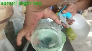 cara mengolah camera hp jadul jadi emas