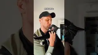 #мужижена