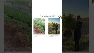 Разбираемся вместе с Евгением Олейником: что производить питомниководу?